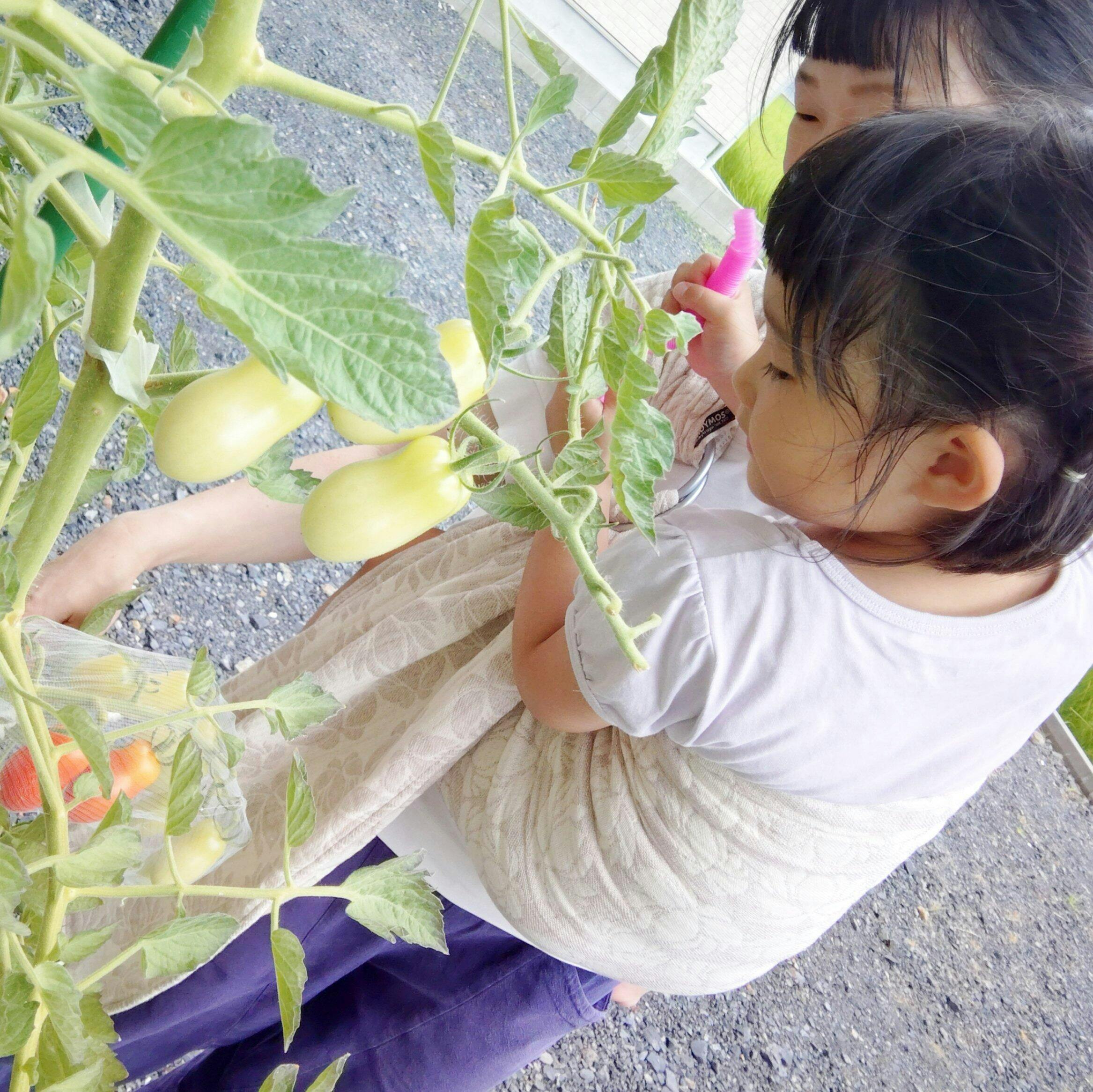 DIDYMOS リングスリング ロトブラッシュ リネン 涼しくて快適な夏の抱っこに｜リネン混ベビーラップ ロト