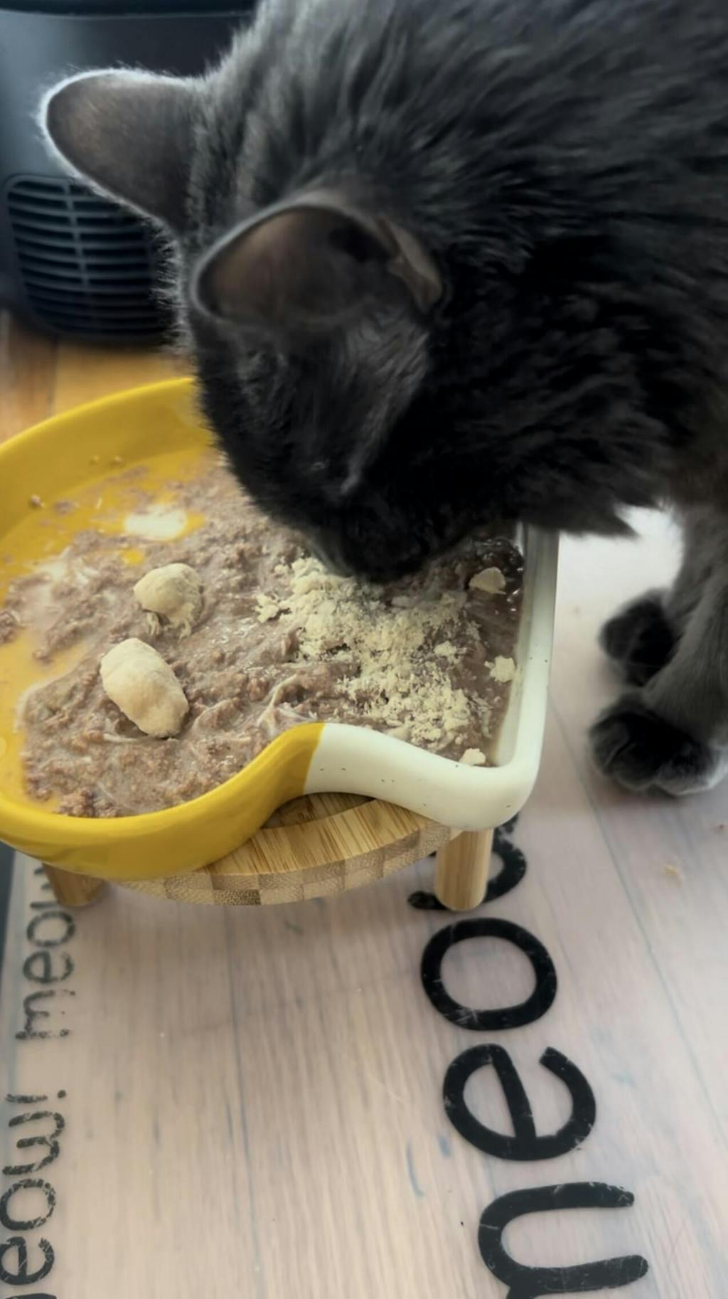 Freeze Dried Chicken