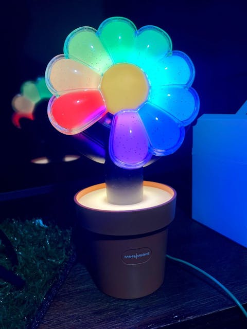 G-Dragon Official Light Stick (choose cradle pot option)