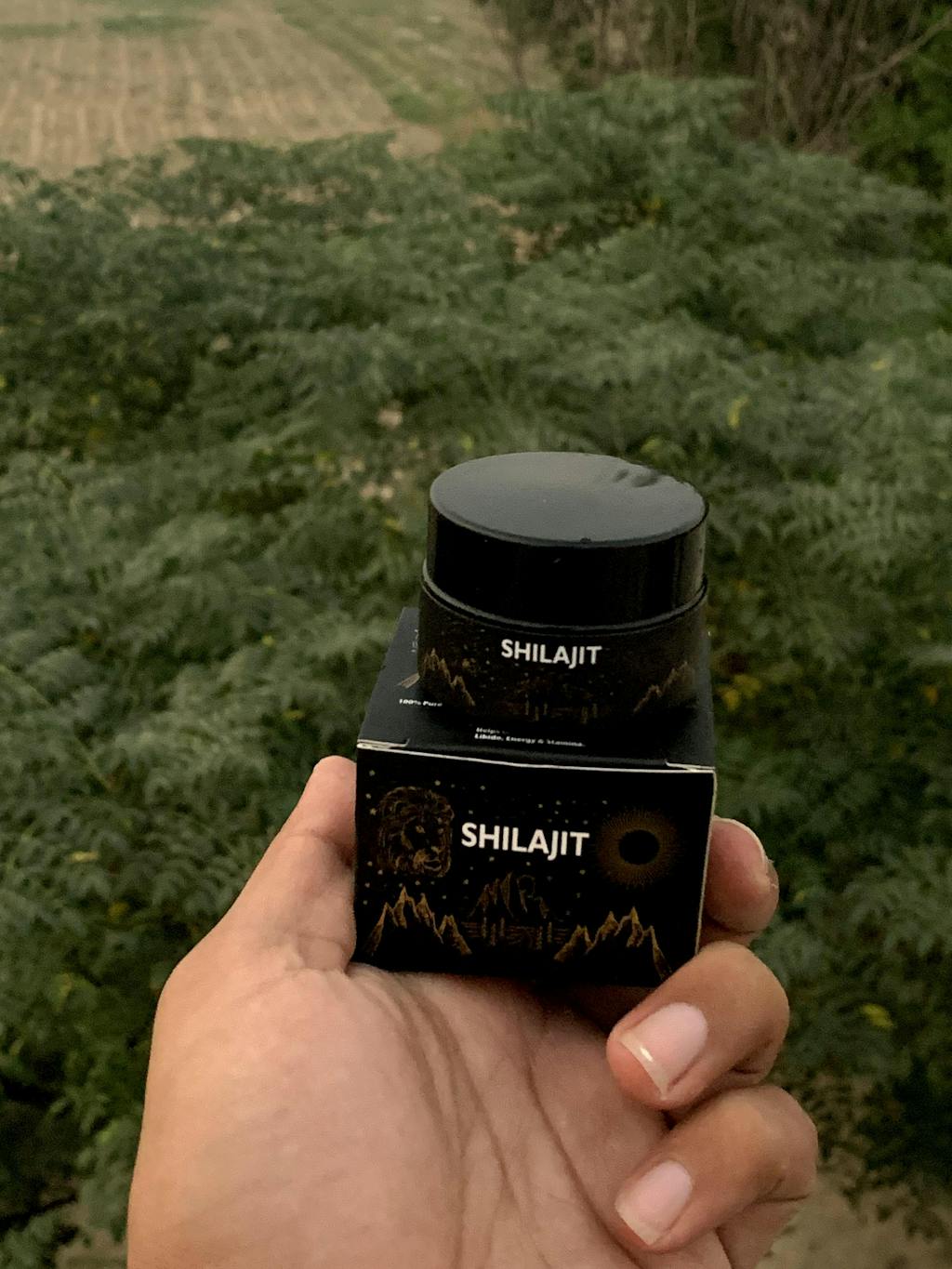 What are the 85 minerals in shilajit