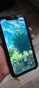 User picture