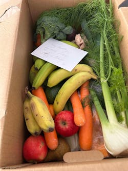 Large Organic Fruit & Vegetable Box each
