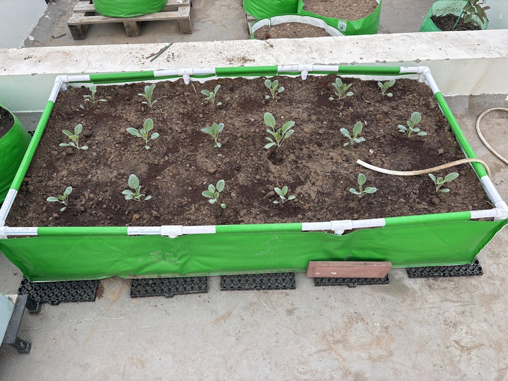 HDPE 72x36x12 Rectangle Grow Bag With Supporting Pvc Pipes