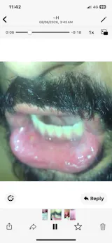User picture