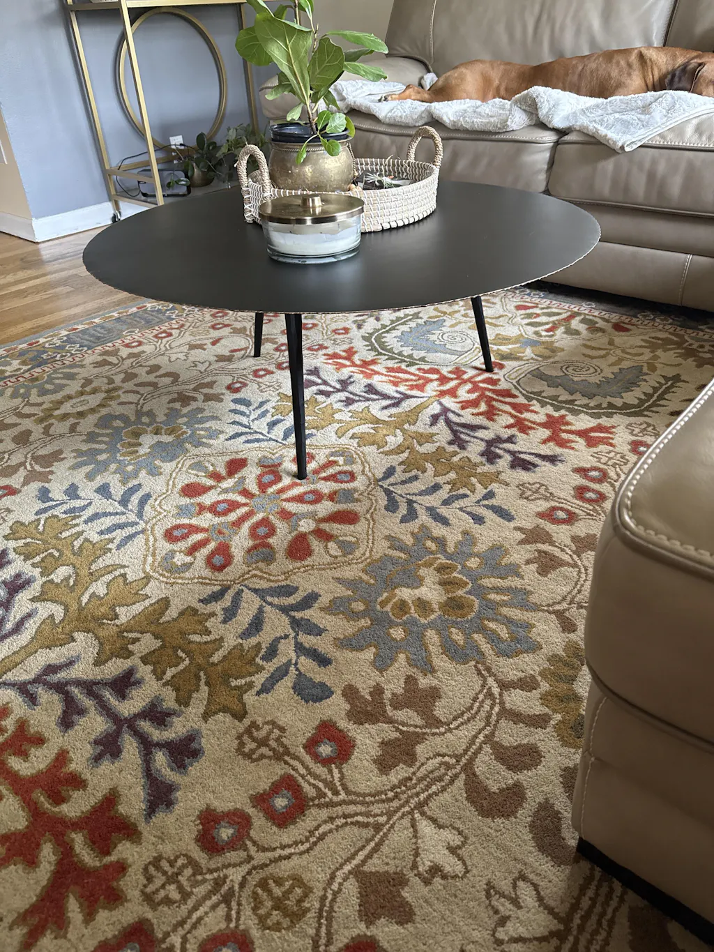 Transitional Tufted Beige Wool Rug 3'9 x 5'9 main image 0