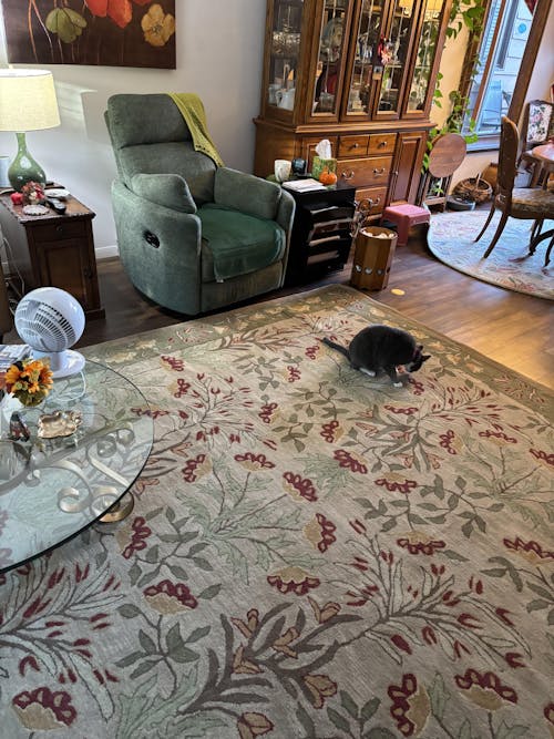 Multi Sizes Handmade Transitional Wool Botanical Floral Area Rug Beige