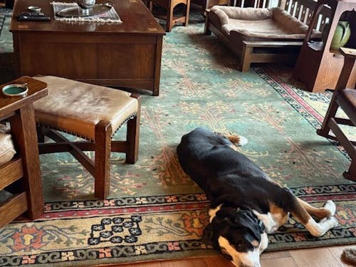 Multi Sizes Donegal Arts & Crafts Handmade 100% Wool Oriental Area Rug Gray/Green Color