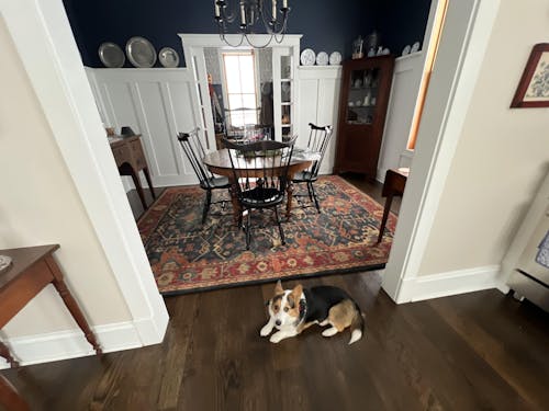 Oriental Rug Of Houston