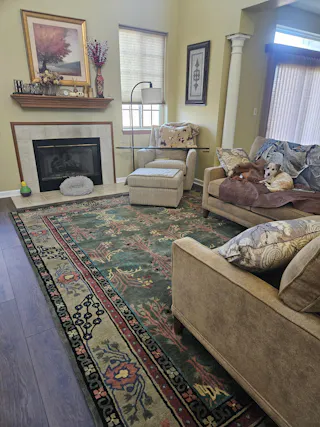 Multi Sizes Donegal Arts & Crafts Handmade 100% Wool Oriental Area Rug Gray/Green Color