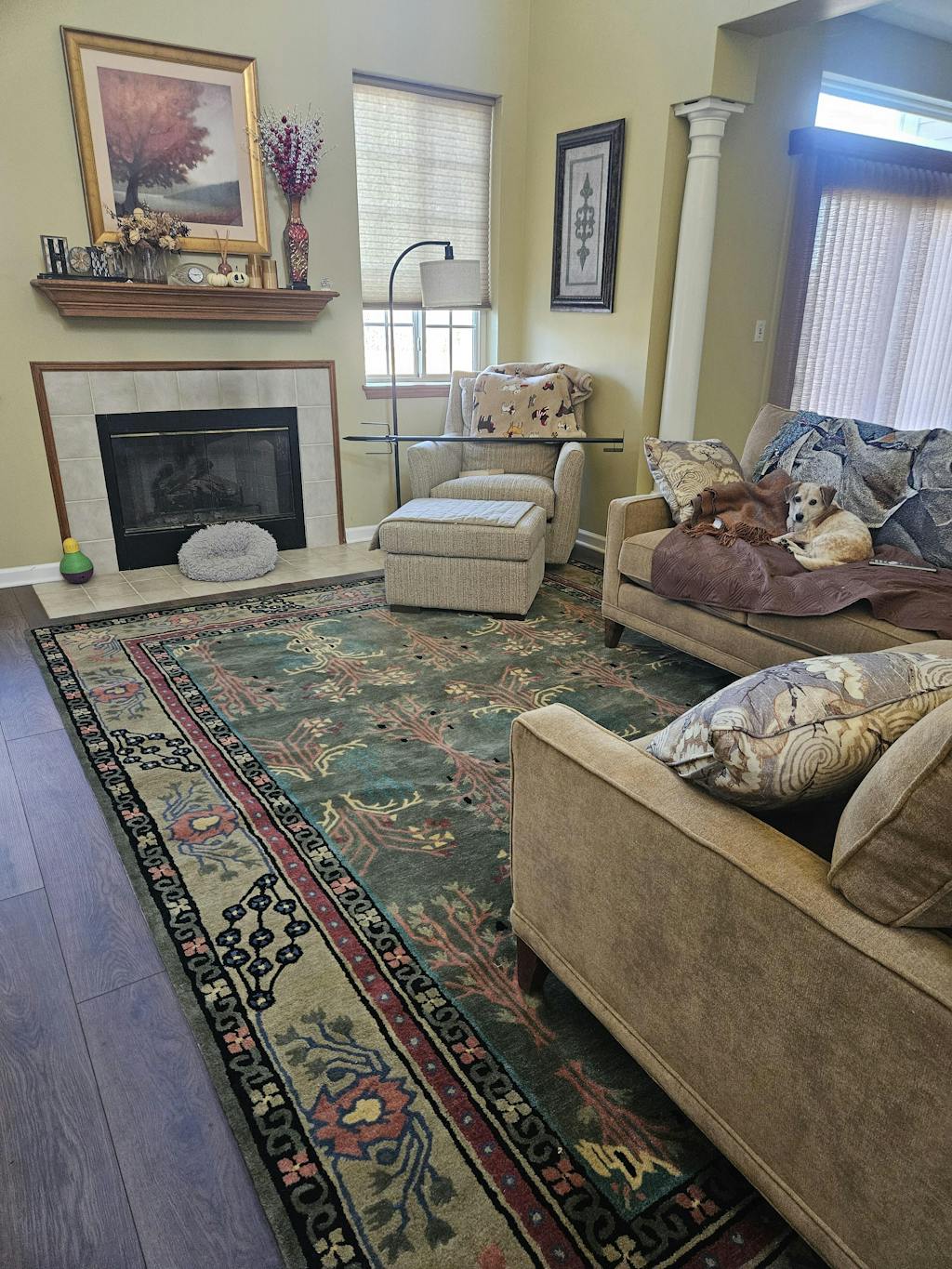 Multi Sizes Donegal Arts & Crafts Handmade 100% Wool Oriental Area Rug Gray/Green Color