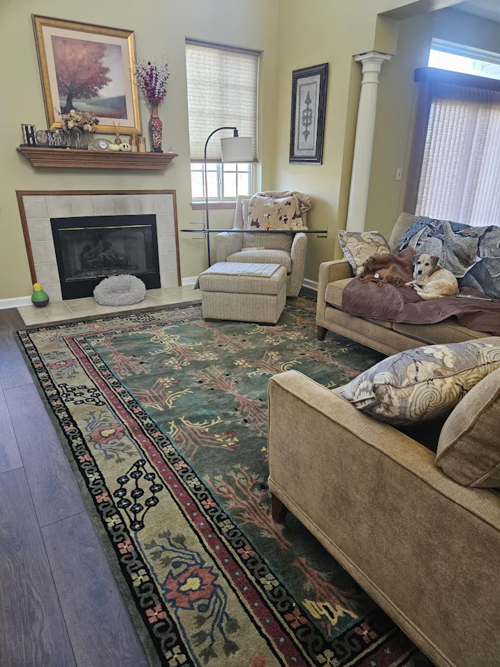 Multi Sizes Donegal Arts & Crafts Handmade 100% Wool Oriental Area Rug Gray/Green Color