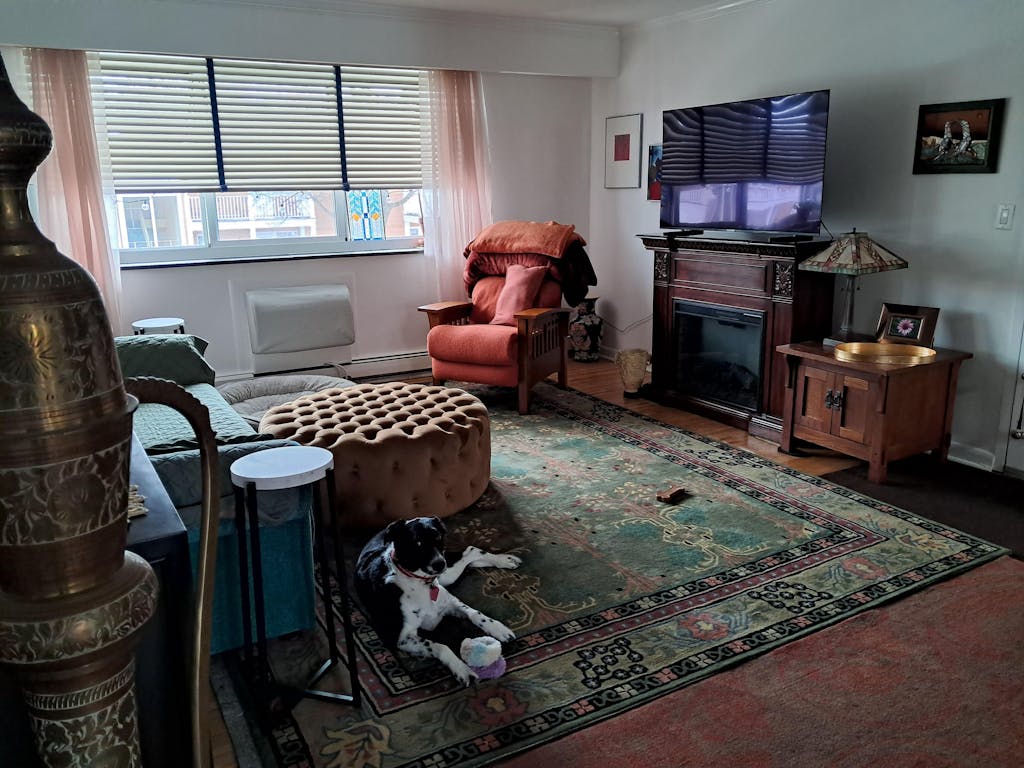 Oriental Rug Of Houston