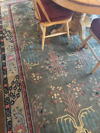 Multi Sizes Donegal Arts & Crafts Handmade 100% Wool Oriental Area Rug Gray/Green Color