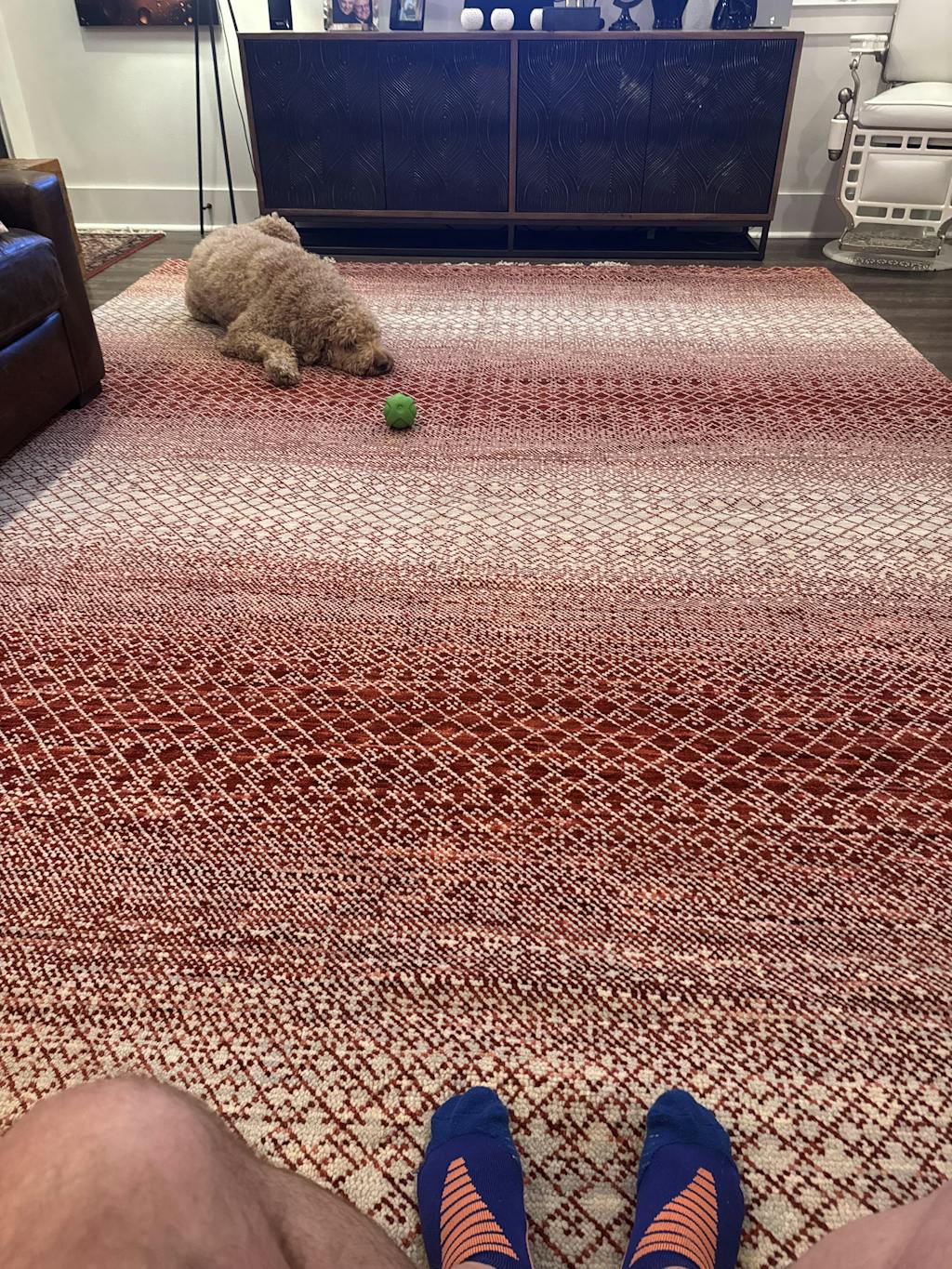 9’ x 12’ Hand Knotted Wool Modern Tibetan Designer Oriental Area Rug Beige