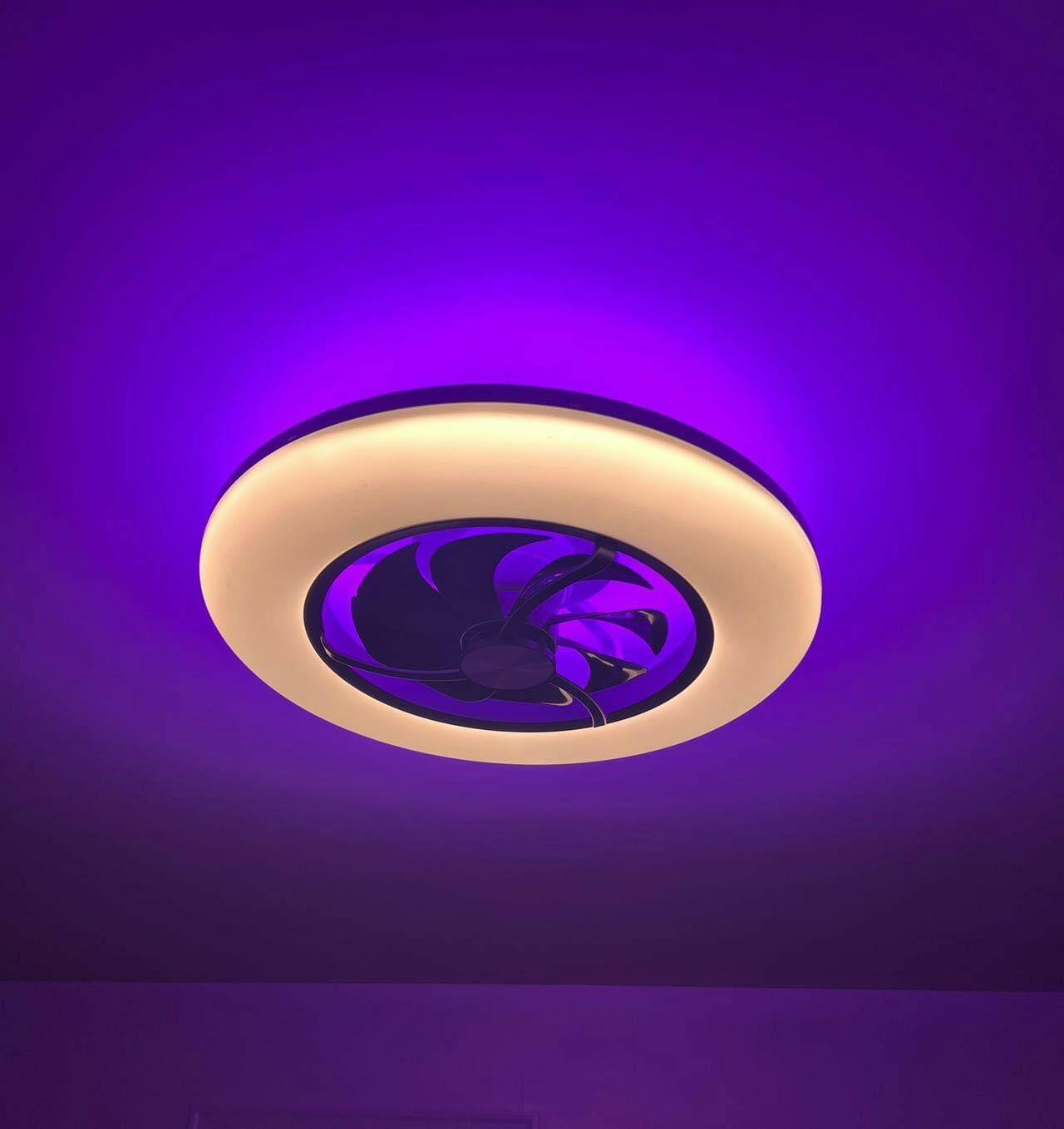 smart ceiling fan with light