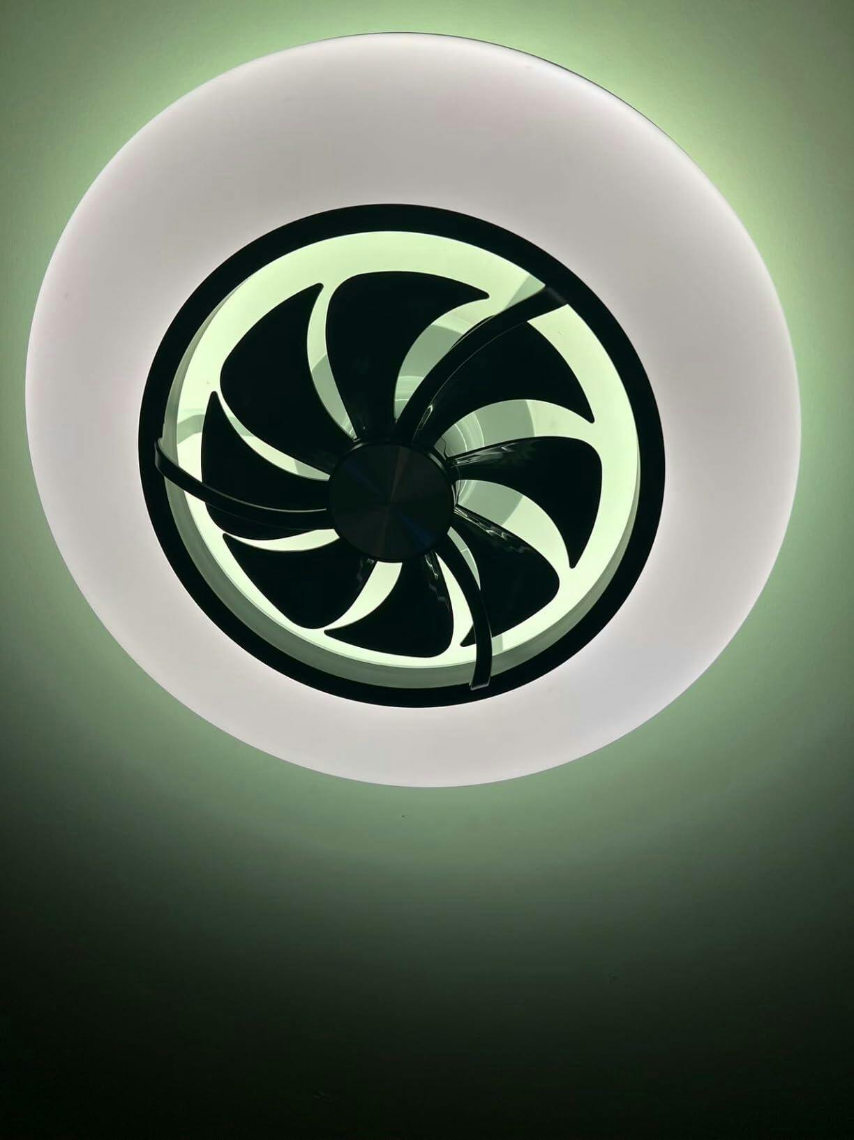 smart ceiling fan with light