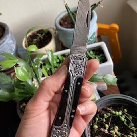 Authentic Damascus steel Back Lock Pocket Knife Green wood Handle Best folding Knife Razor sharp edge Best camping Tool Hunting Skinner EDC Knife with Leather Pouch .