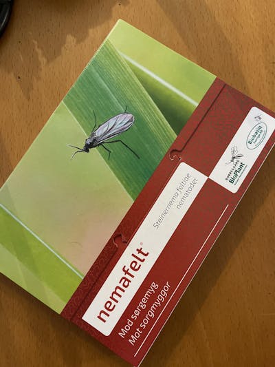 Nematoder | Mot Sorgmyggor & Trips