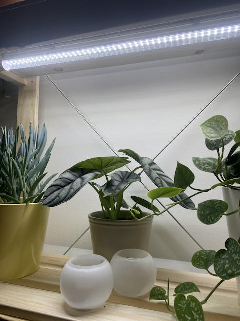 LED Växtbelysning 60cm | 18 W