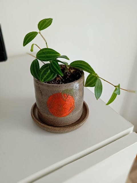 Keramikkruka med fat | Citrus  | Stengodslera