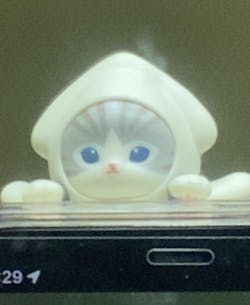 Hippers Mofusand Sonny Angel Blind Box