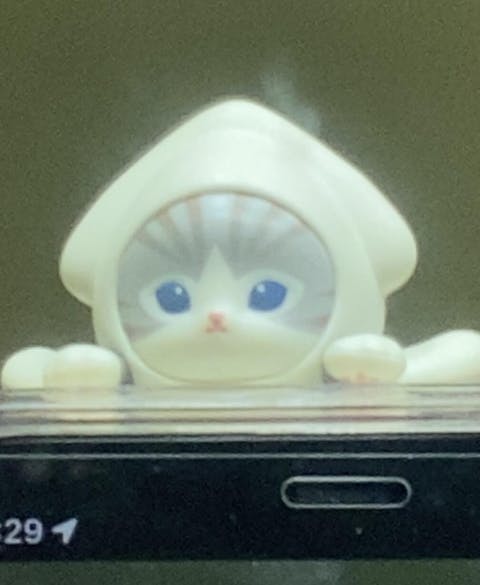 Hippers Mofusand Sonny Angel Blind Box