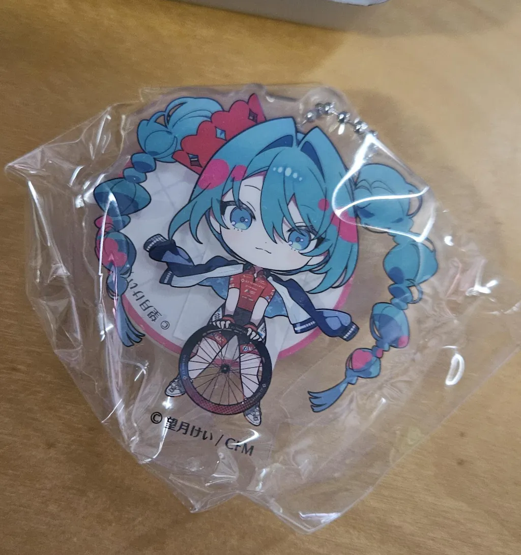 5th Anniv: Tier 2: A4 File or Acrylic Keychain