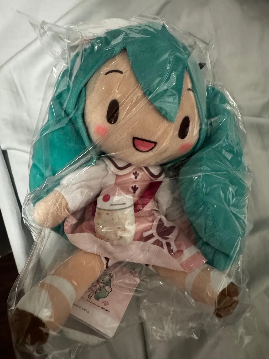 Hatsune Miku - M Plush "Hatsune Miku" Going Out Series Theme Park Ver.