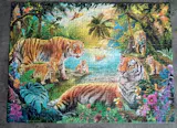 Tiger Family in Oasis | 500 Piece Puzzle