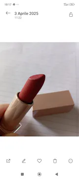 Infinity Shine Lipstick | D04 Brunt Rose