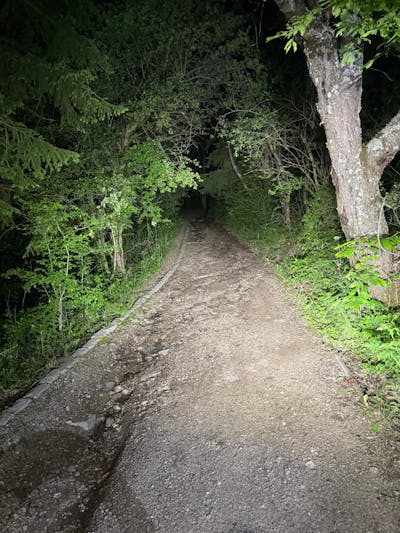 Evo Downhill Package (Evo & Hangover)