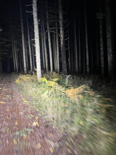 Quick Release Handlebar Mount