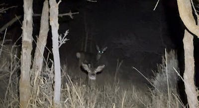 Evo Downhill Package (Evo & Hangover)