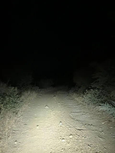 Trail Evo Bike Light