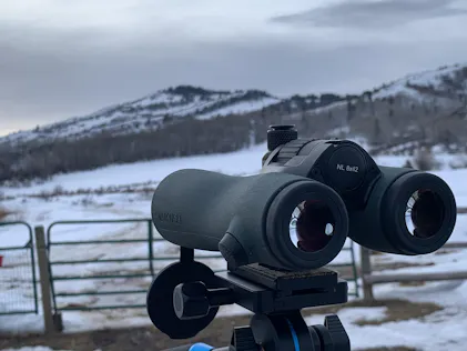 Swarovski NL Pure 8x42 Binocular — Outdoorsmans