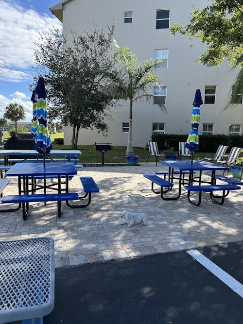 Metal Picnic Table - Square Punched Metal - 46 in - Blue - ADA Compliant