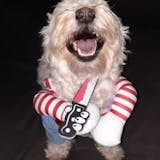 Halloween Dog Costume – Funny Adjustable Pet Cosplay