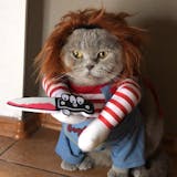 Halloween Dog Costume – Funny Adjustable Pet Cosplay