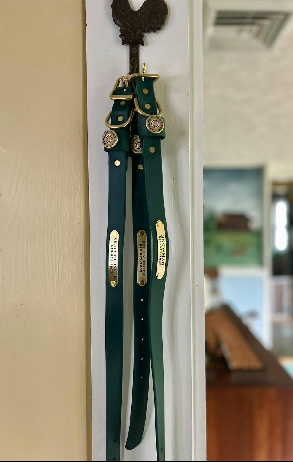 Green Waterproof Dog Collar for Sale – Over Under Clothing