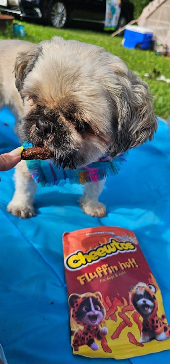 Fluffin Hot Cheewtos!