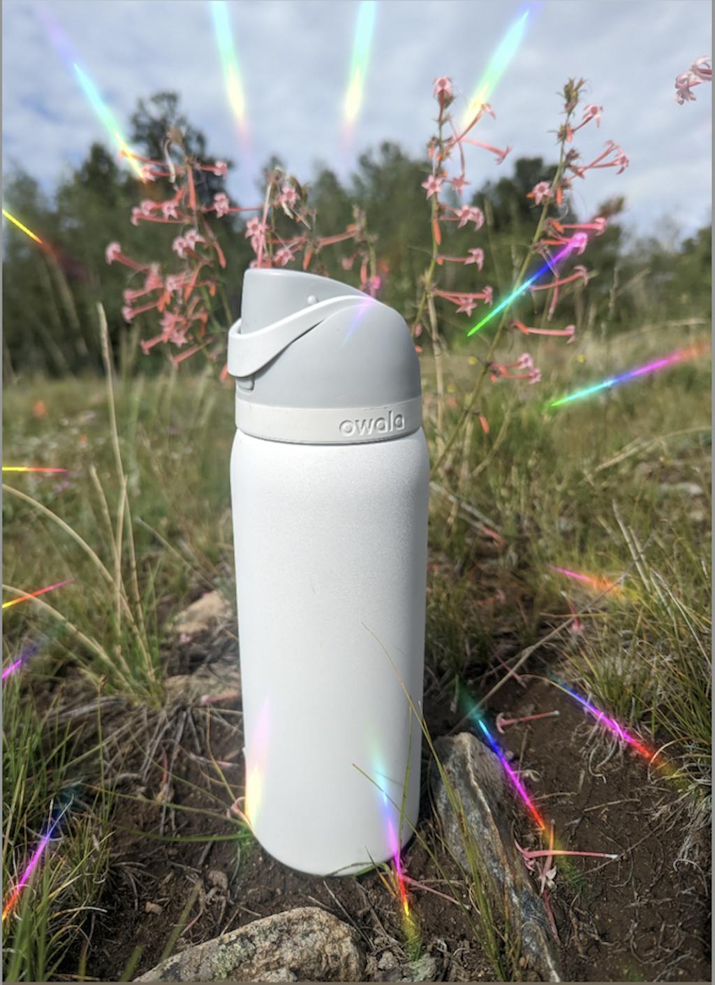 Owala® FreeSip® Water Bottle