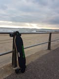 Ownboard W1S (38”) Electric Skateboard
