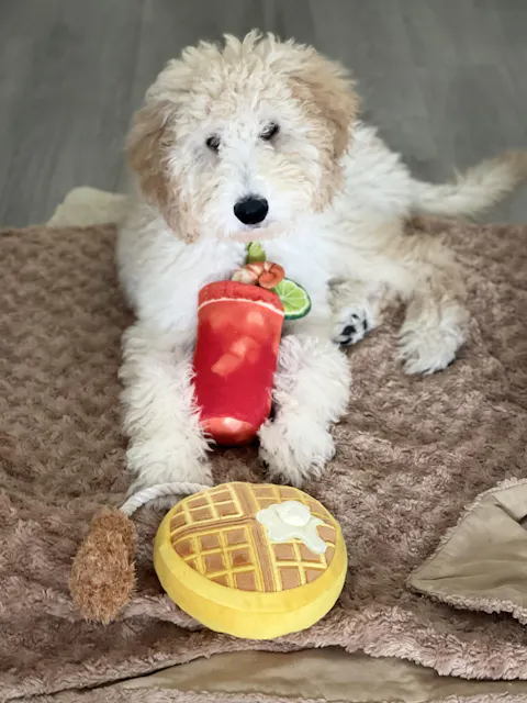 Barking Brunch Chicken and Woofles