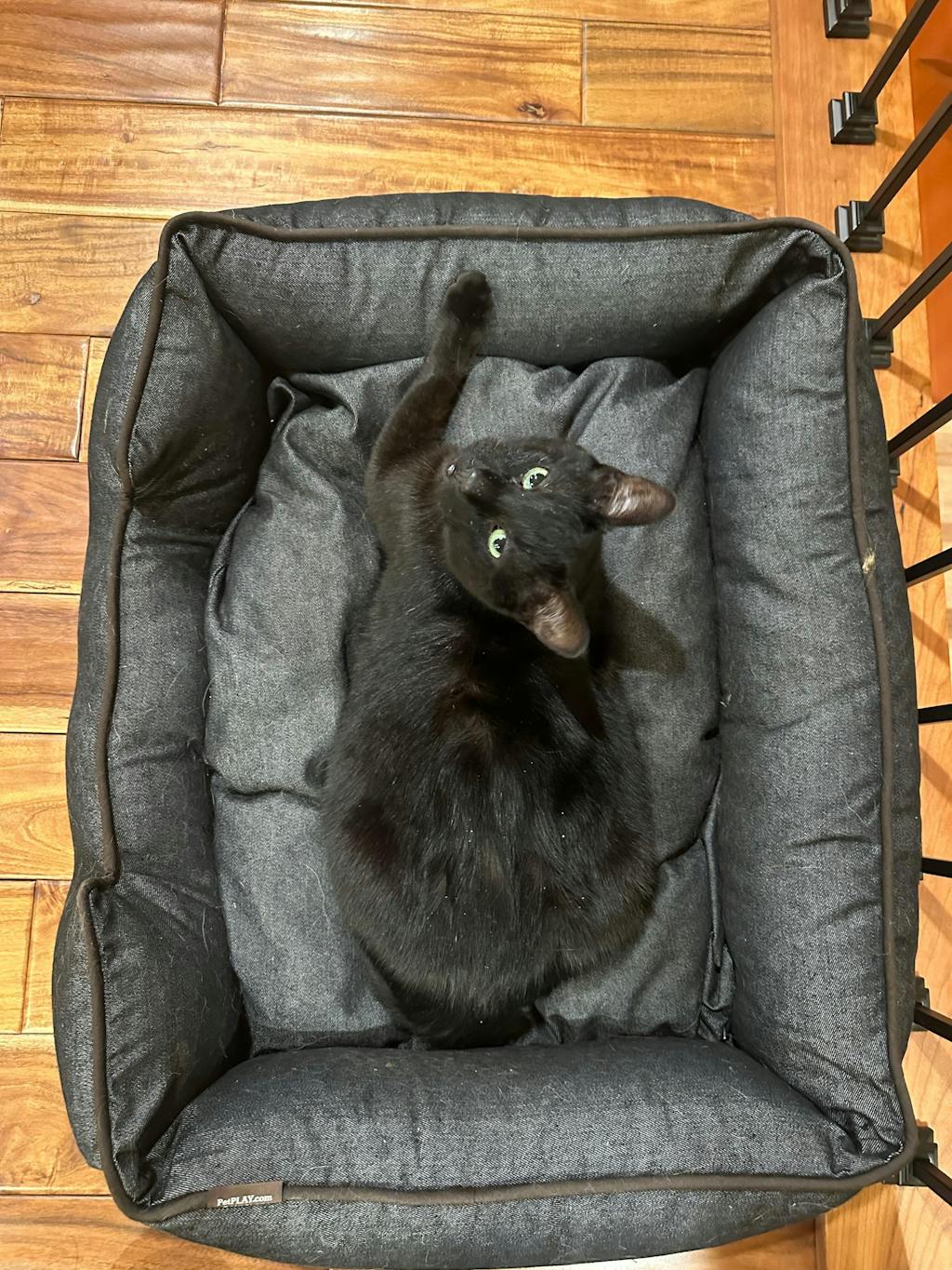 Urban Denim Lounge Bed