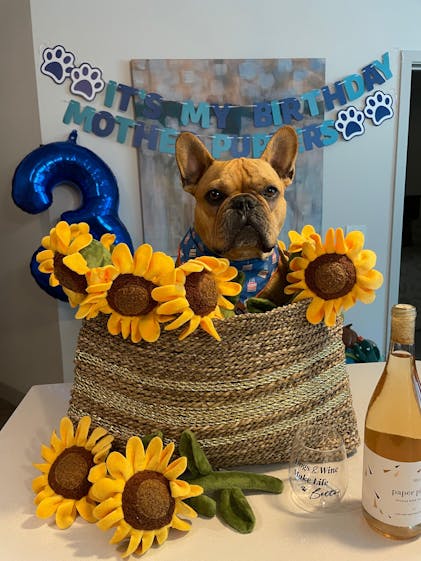 Durable Dog Plush Toy: Sassy Sunflower – P.L.A.Y.