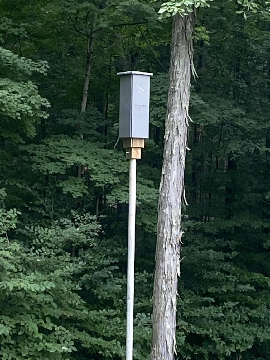 Rocket Bat Box P&S Country Crafts