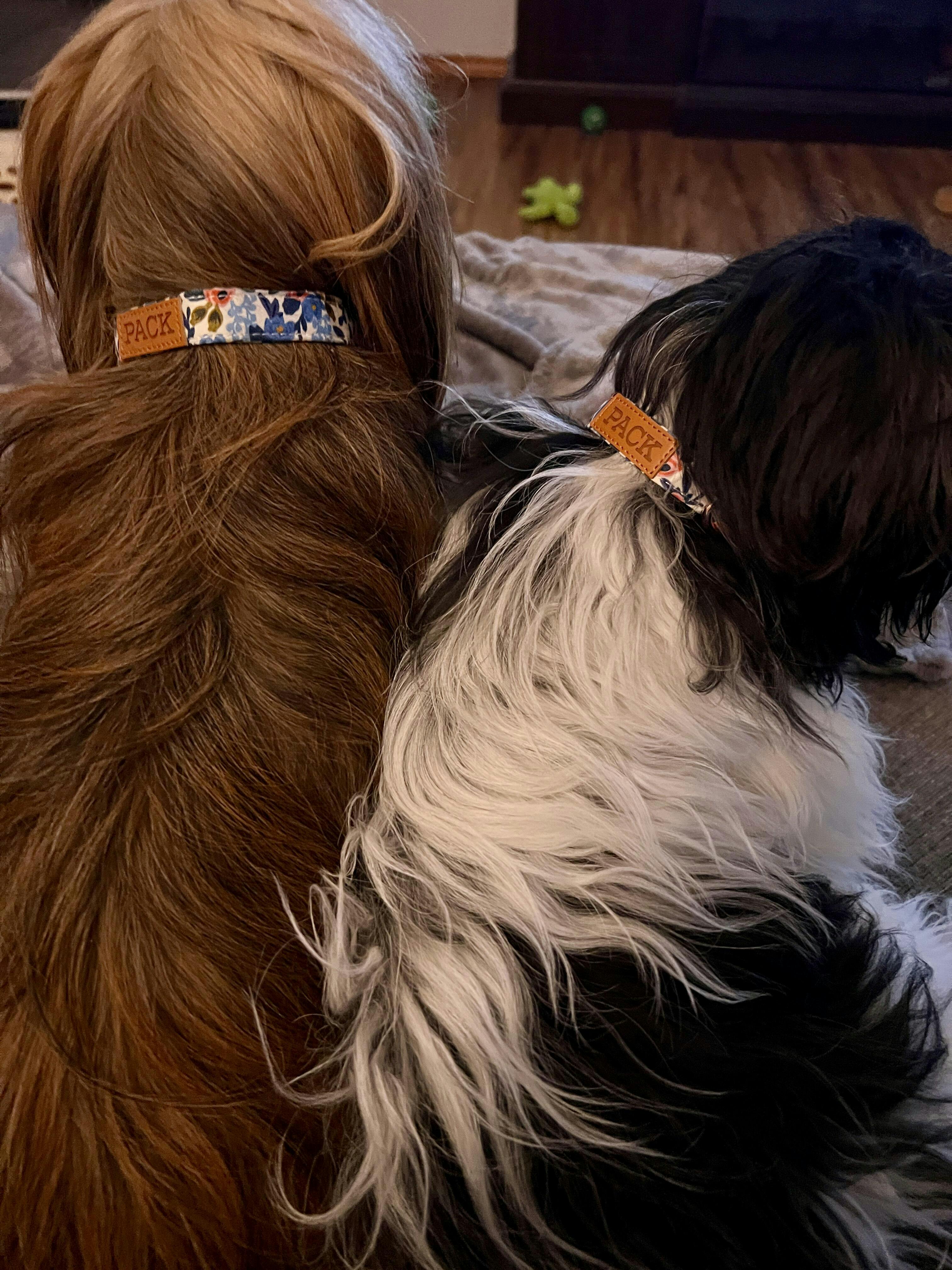 Free Beauregard Matching Poop Bag Holder Pack Leashes