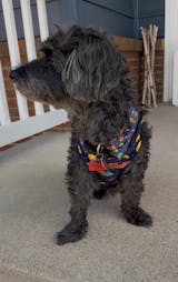 Space Jam // Space Jam