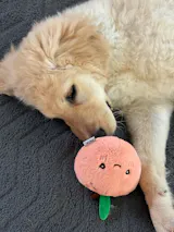 Mrs Peachy (2-in-1 Toy)