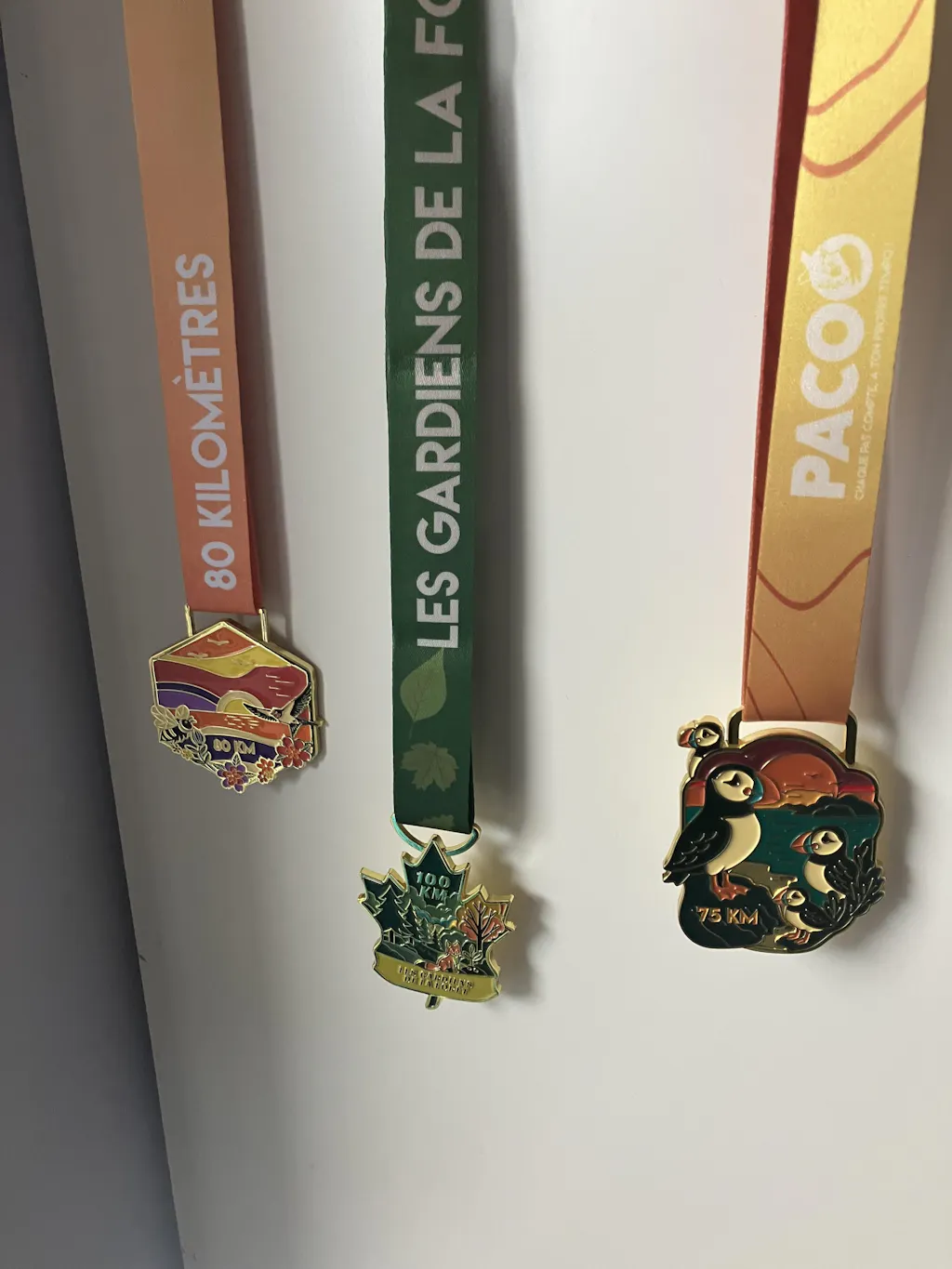Pacoo Challenges
